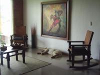 imagen-4
