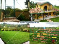 imagen-2