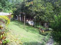 imagen-6