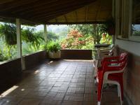 imagen-7