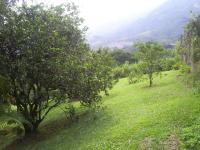 imagen-10