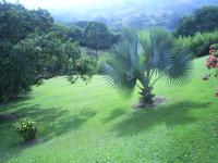 imagen-4