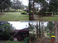 imagen-2