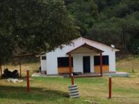 imagen-2